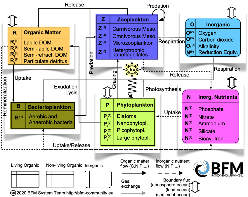 BFM Scheme